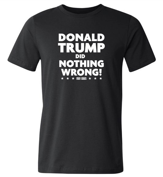 TRUMP Did Nothing Wrong T-Shirt