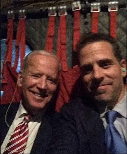 EXCLUSIVE: Hunter Biden helped devise plan to 'close down' Viktor Shokin's investigation into Burisma, emails reveal