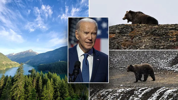 Local residents explode at Biden officials over plan to release grizzly bears near their communities