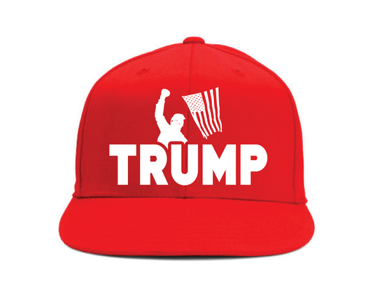 Trump Fight Hat