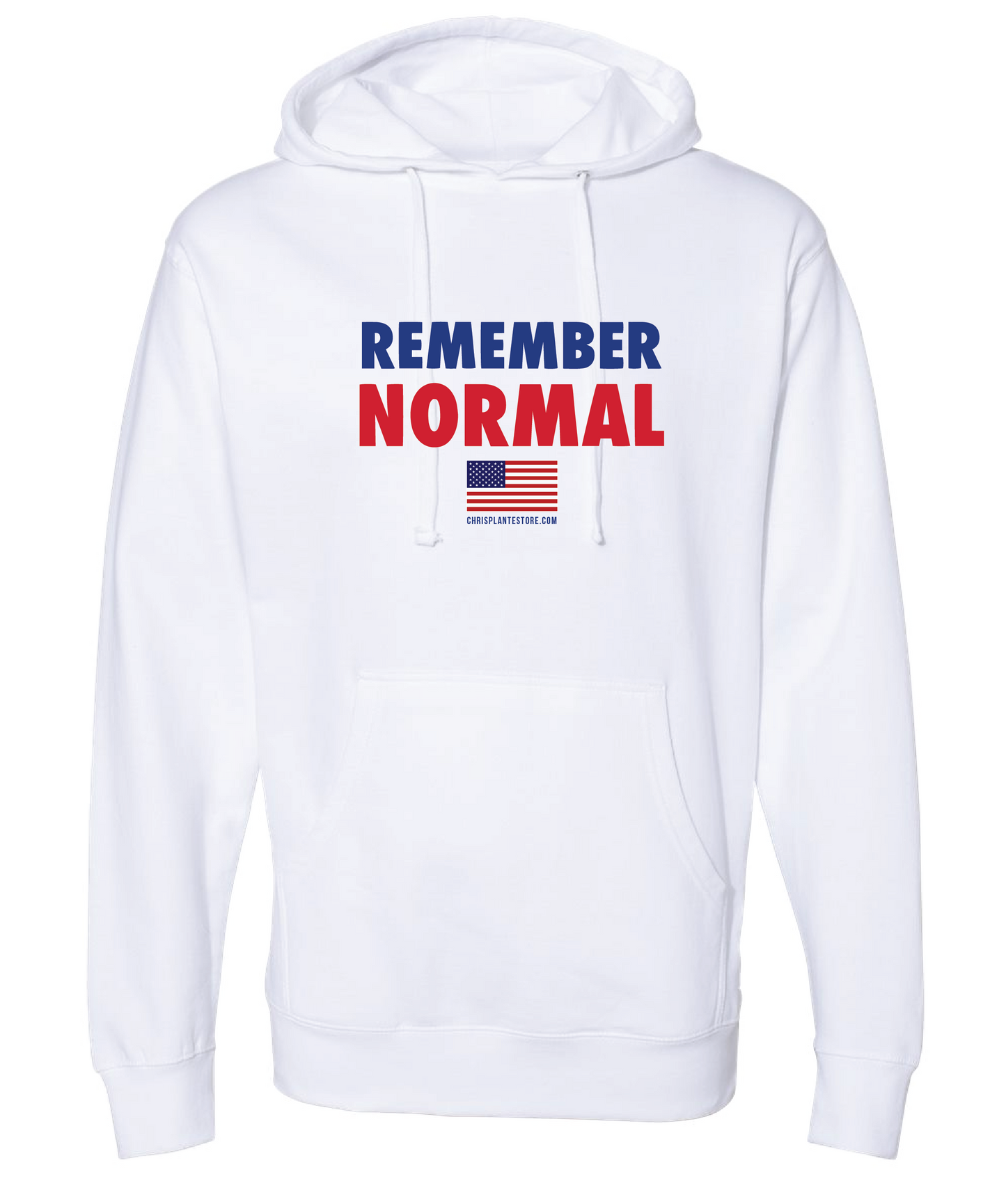 Remember Normal Hoodie